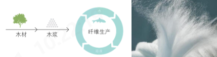 诸侯快讯·ok1133科技